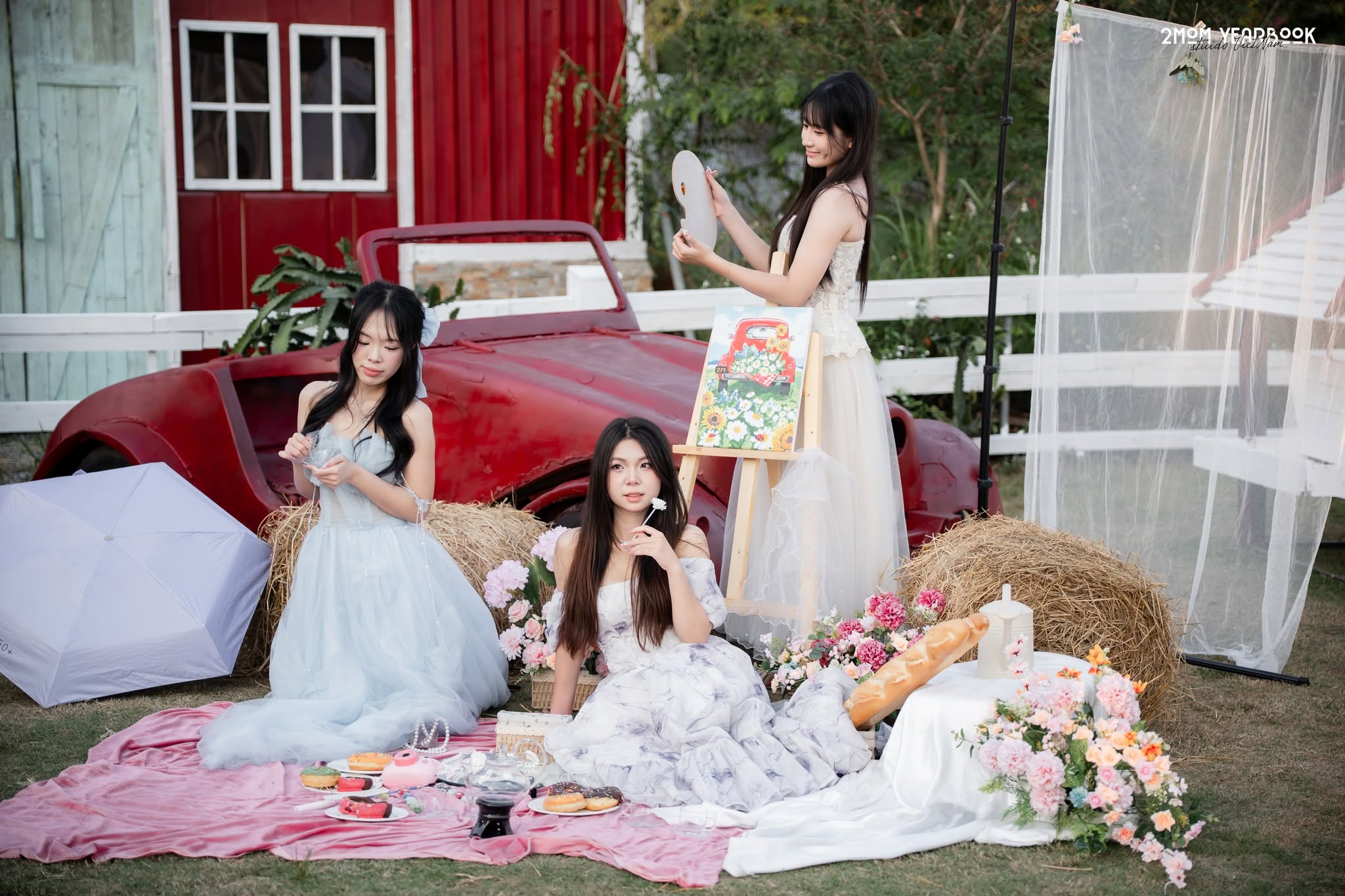 concept picnic, cottage core