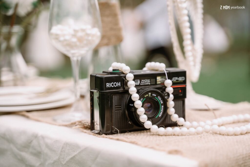 concept cottagecore princess picnic